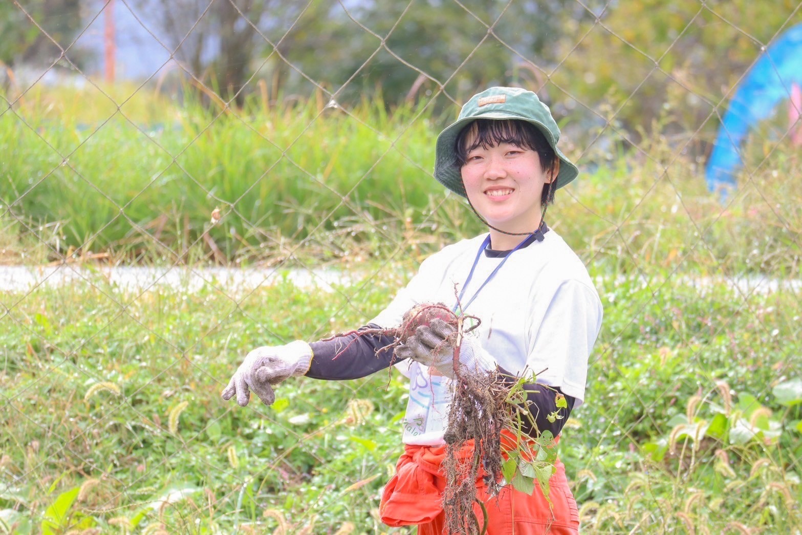 活動写真3