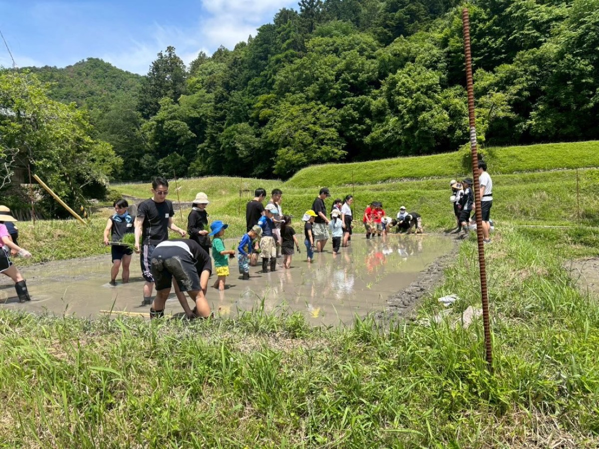 田植えイベントの様子