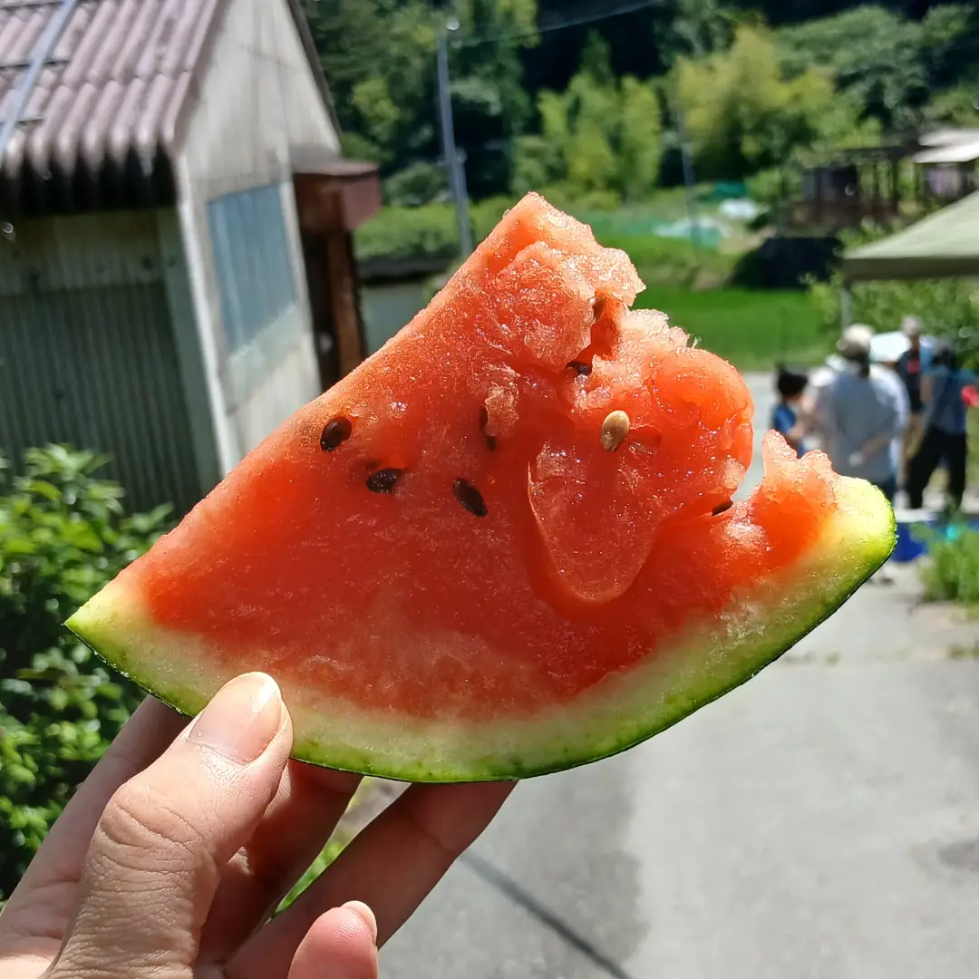 流しそうめんとスイカ割りの様子