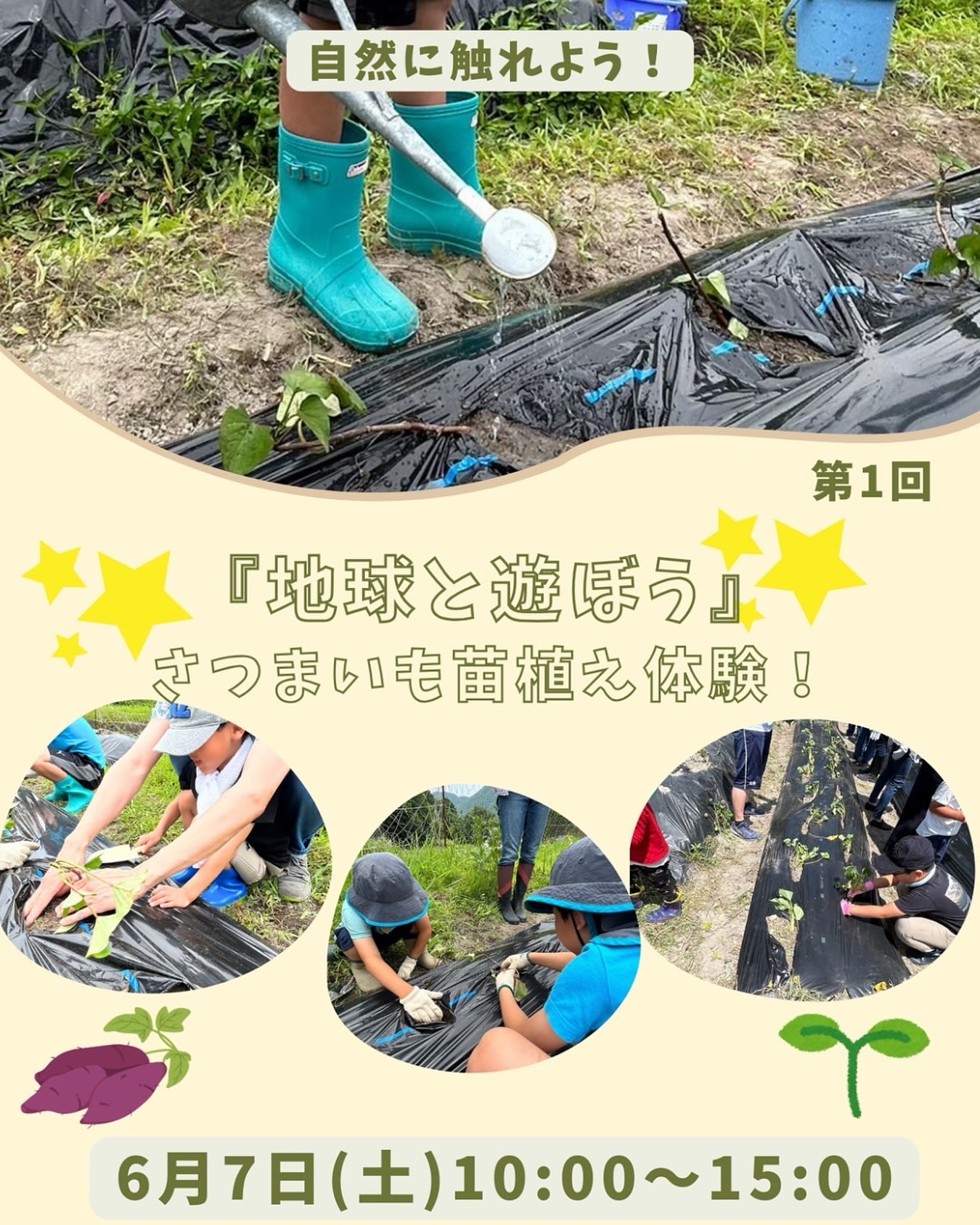 さつまいもの苗植えイベントの告知