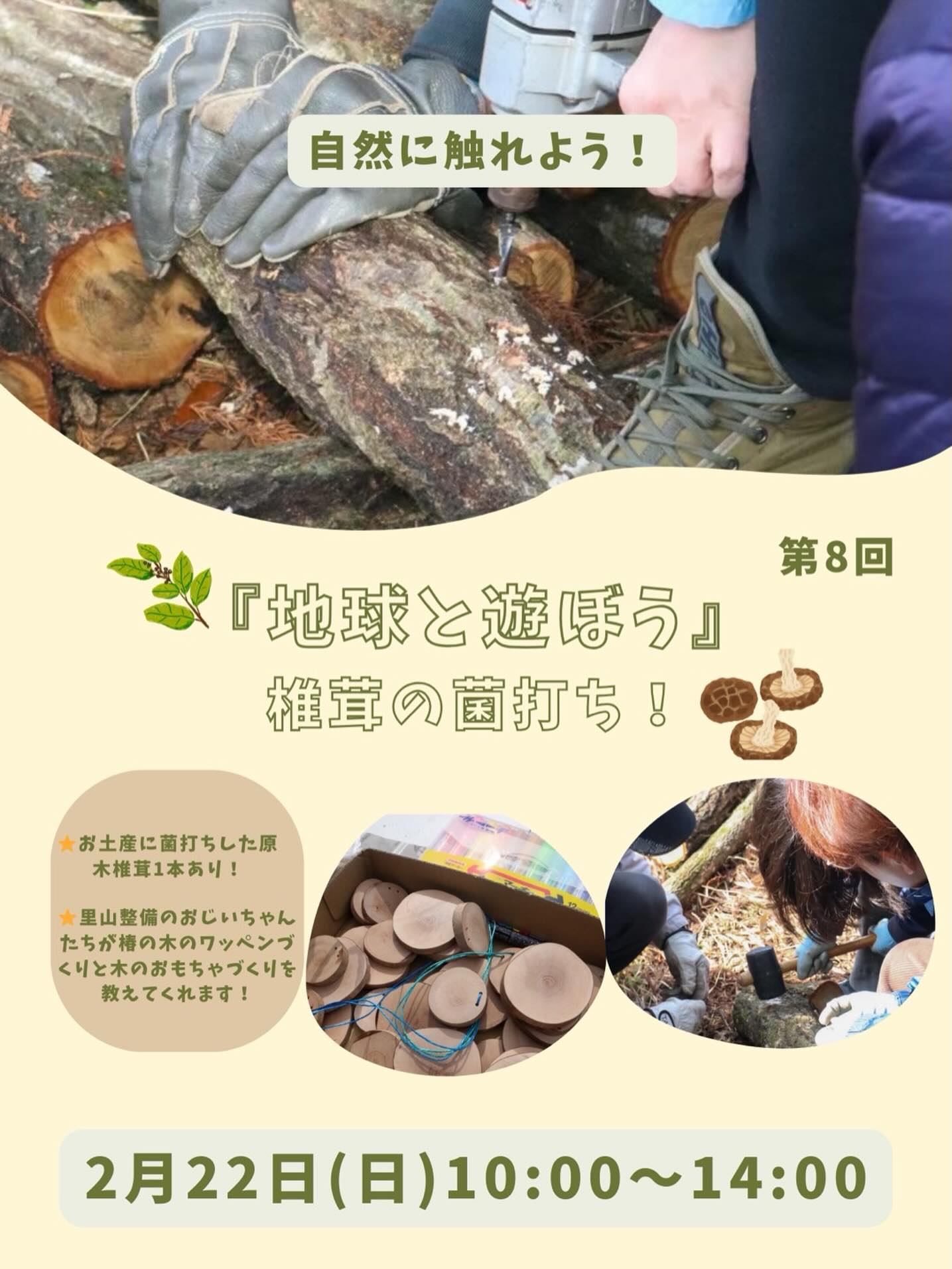 しいたけの菌打ち体験イベントの告知