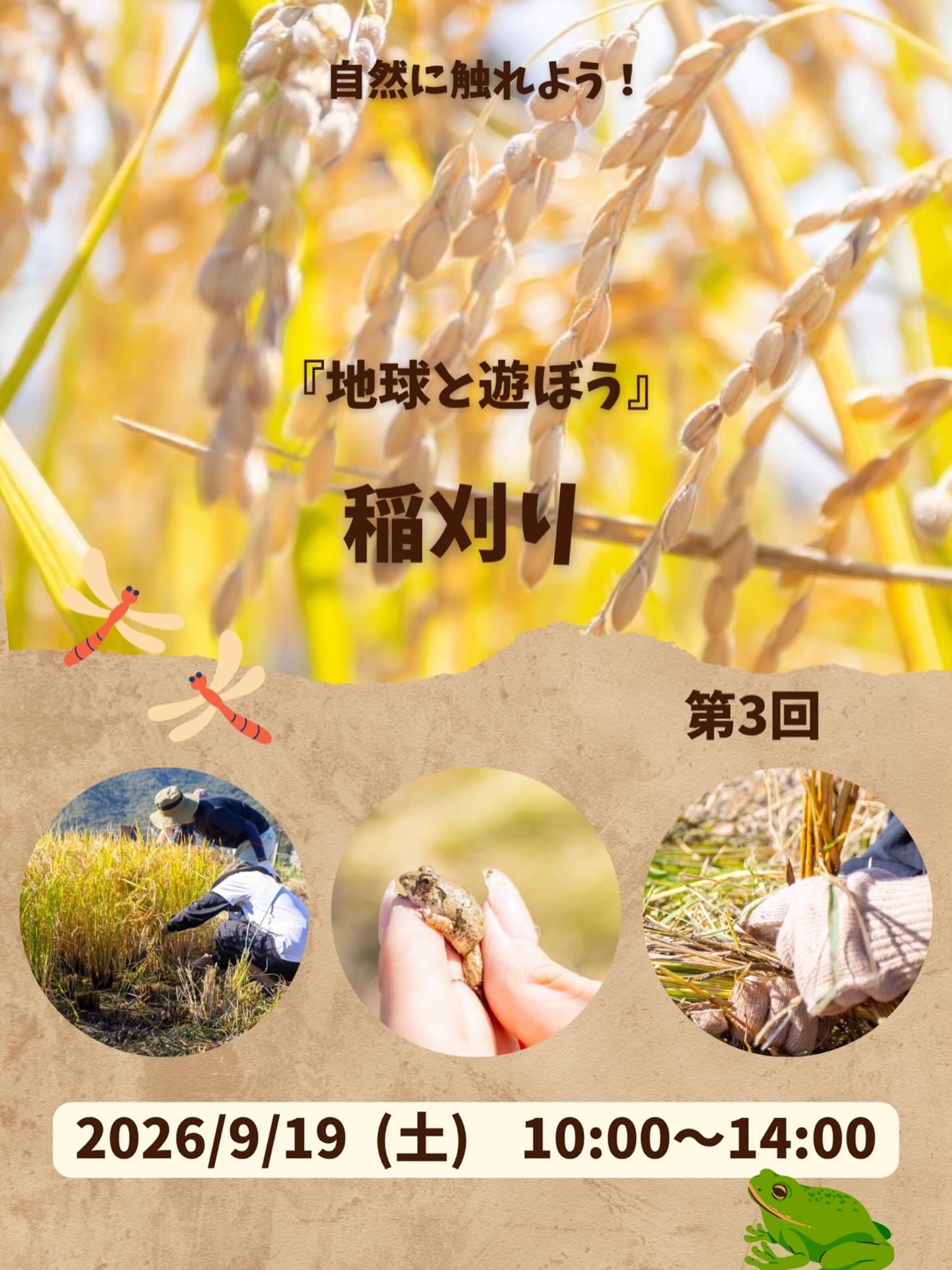 第3回「地球と遊ぼう」稲刈り体験イベントの告知