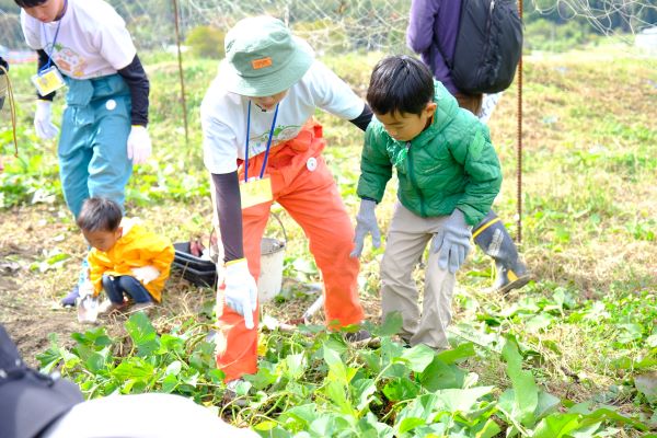 活動写真3