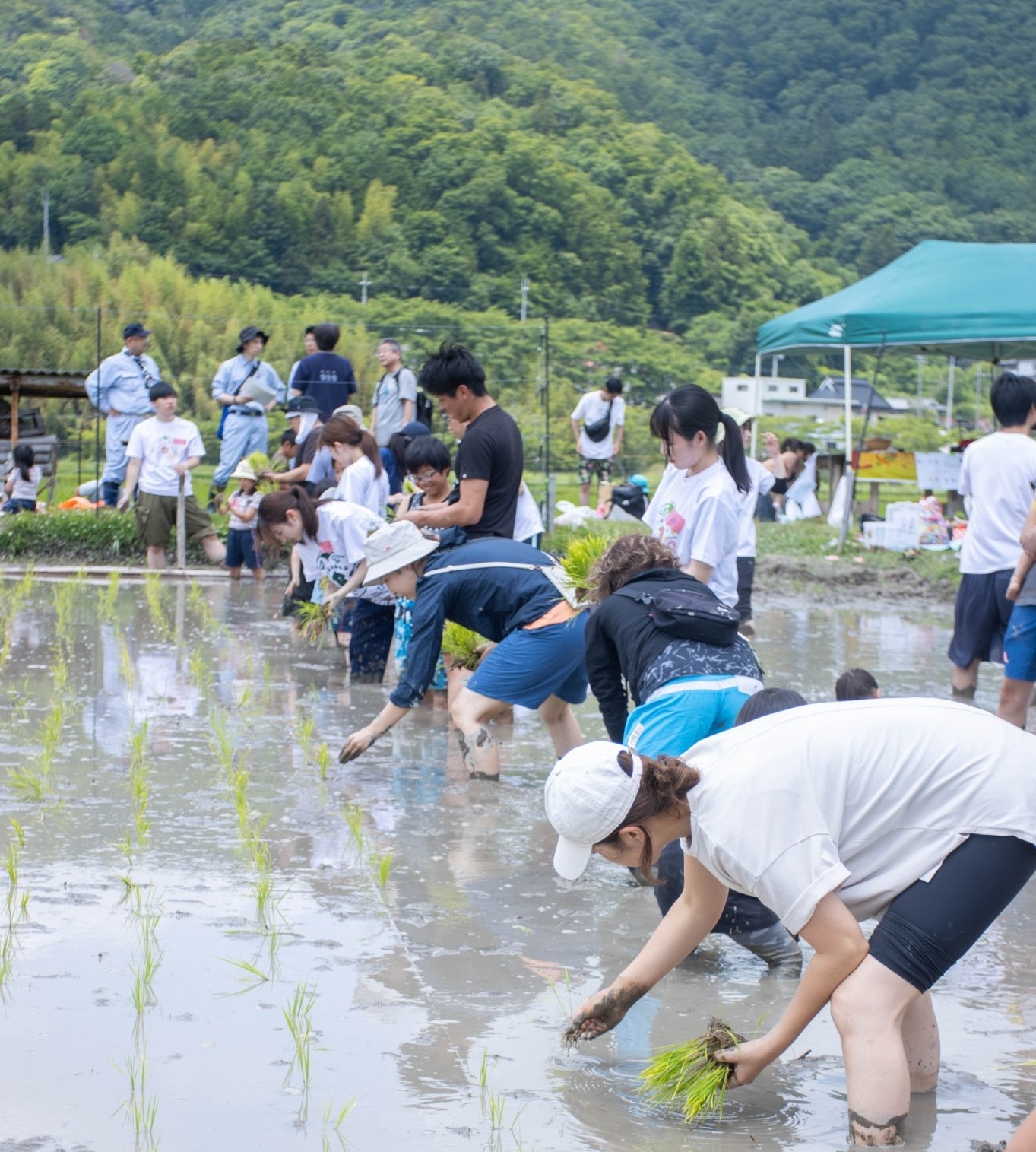 活動写真3